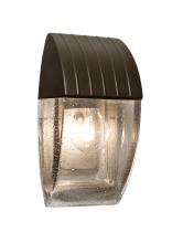  AQUACP-CL-BR - Costaluz Aqua Wall Sconce