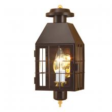  1059-BR-CL - American Heritage Outdoor Wall Light - Bronze