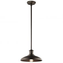  49982OZ - Outdoor Pendant/Semi Flush 1Lt