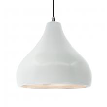  CER-6565-WTWT-NCKL-BKCD-LED1-700 - Large Droplet LED Pendant