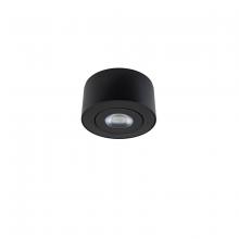  FM-W44205-40-BK - I Spy Outdoor Flush Mount Light