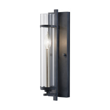  WB1560AF/BS - Wall Sconce