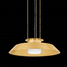  8832-AGB - Woodrow Pendant