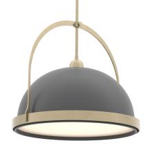  137462-SKT-MULT-84-10 - Atlas Large Pendant