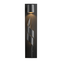  303090-SKT-80 - Flux Dark Sky Friendly Outdoor Sconce