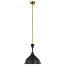 Visual Comfort & Co. Studio Collection AEP1011BBSMBK - Lucerne One Light Small Pendant