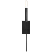 Visual Comfort & Co. Studio Collection EW1161AI - Brianna Tail Sconce