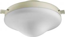  1377-867 - WET LED LK W/ OPAL - AW