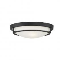  M60019MBK - 2-Light Ceiling Light in Matte Black