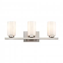 ELK Home EC89914/3 - Dressler 22'' Wide 3-Light Vanity Light - Brushed Nickel